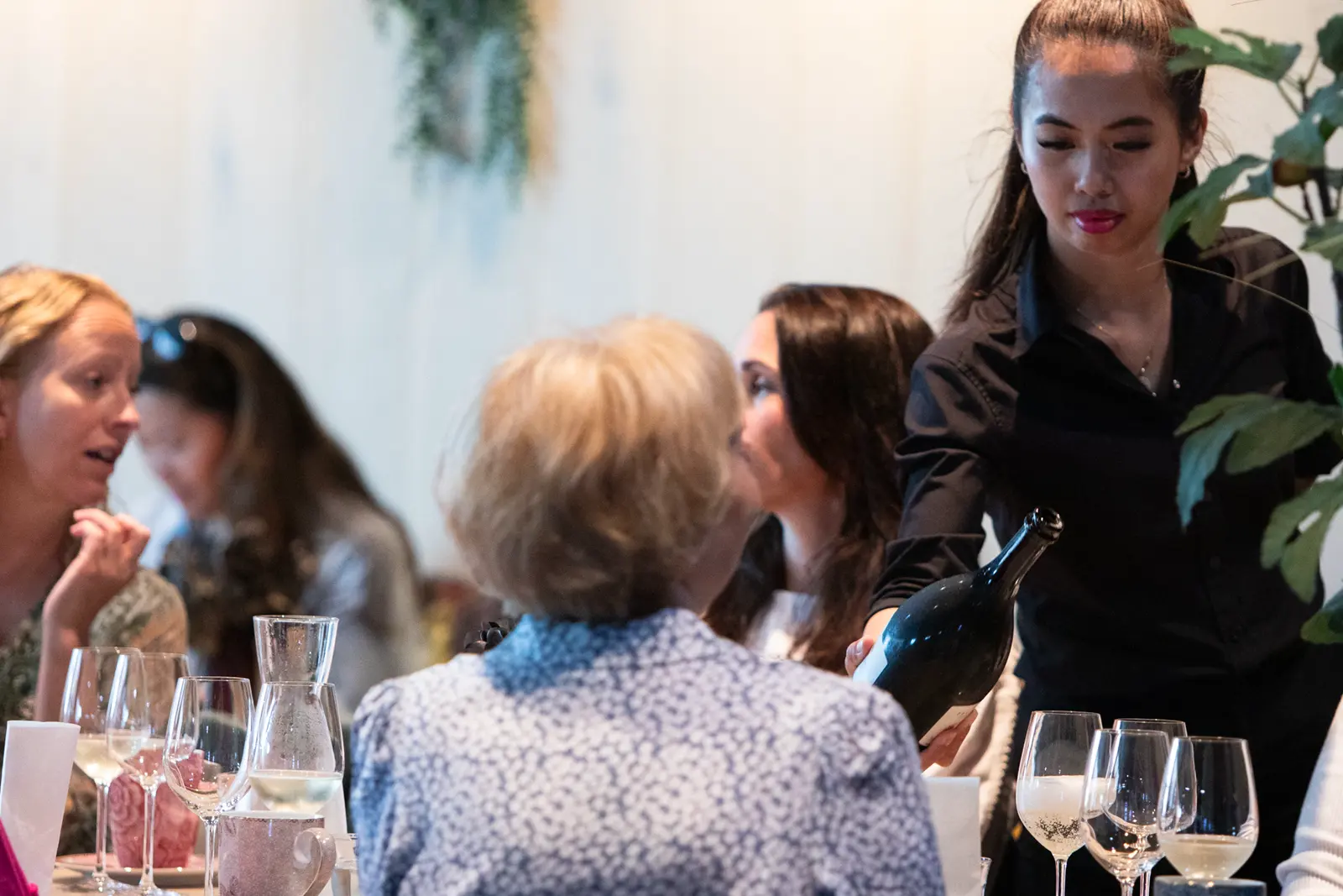 En servitør i svart uniform skjenker vin til en kvinne som sitter ved et bord sammen med andre på Central Restaurant og Bar. Flere vinglass og en vannkanne står på bordet.